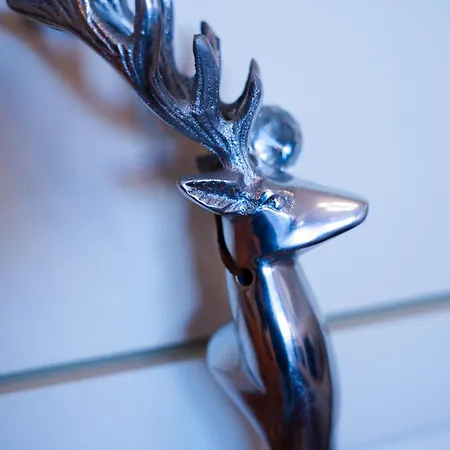 Apartament Martini Apartment *